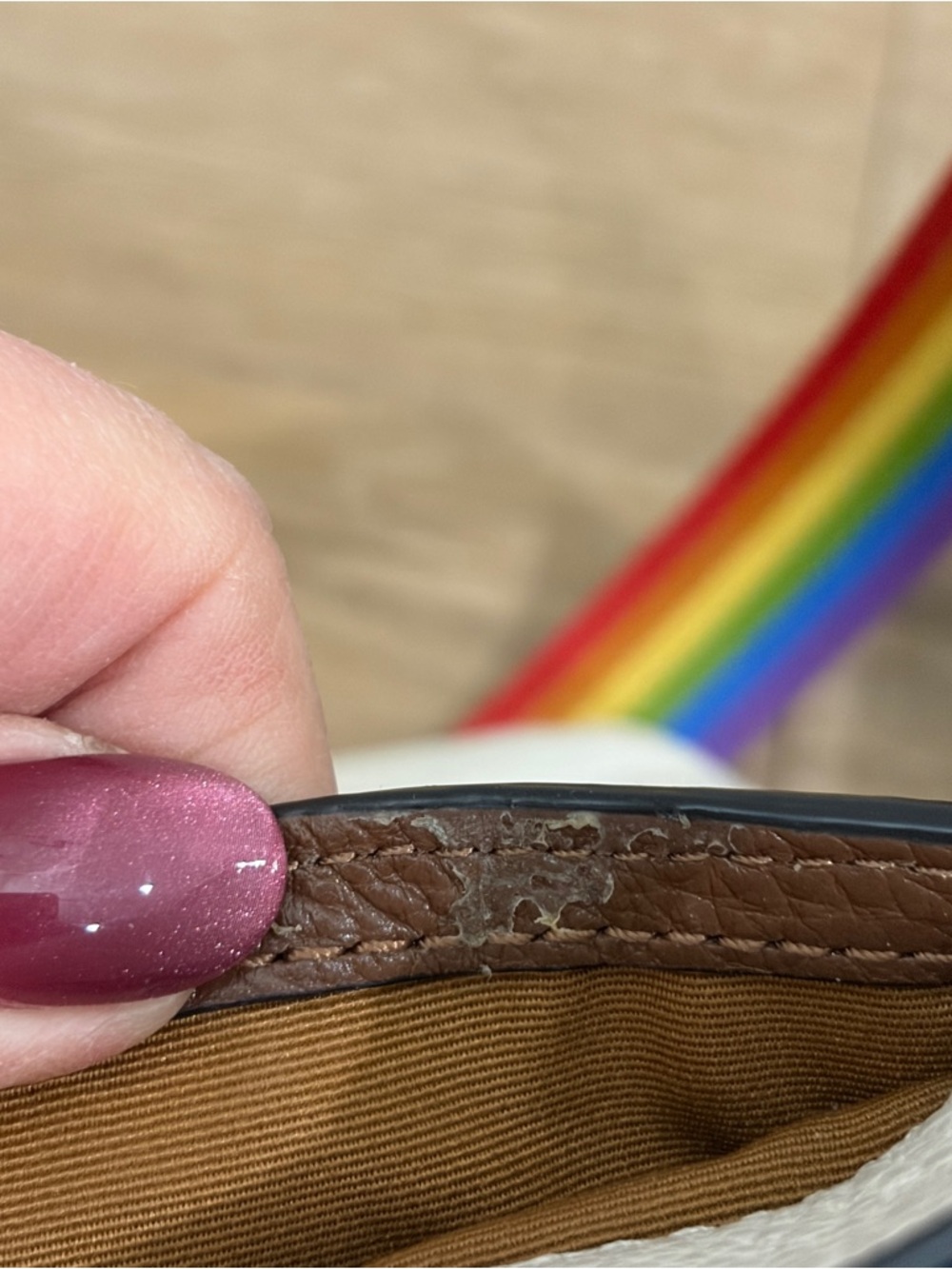 COACH Pride Cream Crossbody with Rainbow Horse & Carriage Logo - Picture 13 of 14
